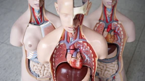 Der Tod kann keinen kalt lassen