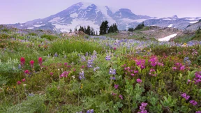Überfüllung am höchsten Vulkan der USA