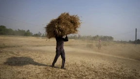 Indien verbrennt noch mehr Kohle, um zu kühlen