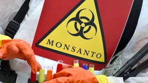 Monsanto bessert Offerte für Syngenta nach
