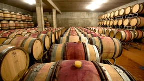 Hongkong und das Bukett der weiten Welt 