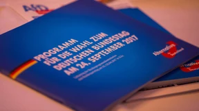 AfD will Wahlprogramm als E-Book verkaufen