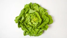 So bleibt der Salat tagelang knackig