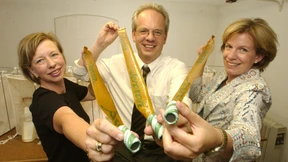 Sie haben den Fliegenfänger erfunden