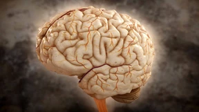 Das Bindeglied zum Brustkrebs