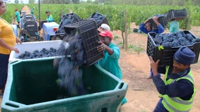 Südafrika rutscht überraschend in die Rezession