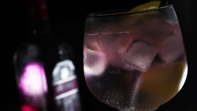 Doktor de le Boë und der Gin