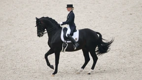 Die Schüchternheit der Debütanten 