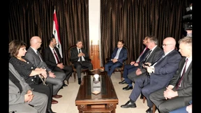 AfD-Besuch in Syrien