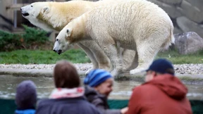 Städtetag: Auch Zoos, Museen und Theater brauchen Corona-Hilfe