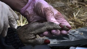 Wir brauchen eine Kriegsethik