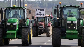 Spanische Bauern wütend auf außereuropäische Konkurrenz