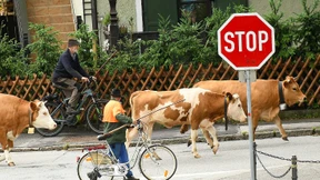 Das Steak nur noch am Sonntag