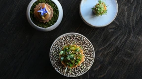 Schnupperpreise für Sterneküche