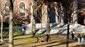 Macht Harvard dumm?