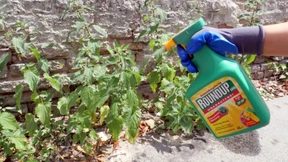 Bayers sehr teure Schadensbegrenzung