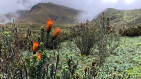 Aufbruch zur Expedition Anthropozän