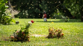 Blumenwiesen auf dem Friedhof