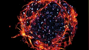 Was Menschen im Innersten zusammenhält