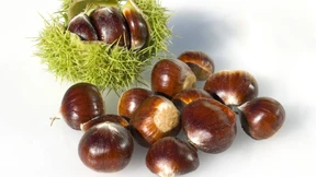 Steinzeit als Lebensstil 