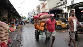 Die ökonomischen Rezepte der Teeinsel