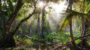 An den Weltrettern verdienen