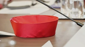 Die Demokratie lebt auch aus dem Amt