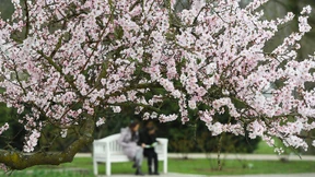 Die Gartenkultur – eine Europäerin