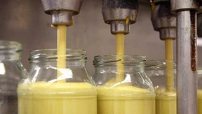 Verlust eines Kulturguts