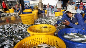 Die Menschenfischer und ihre Köder 