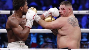 Joshua holt sich die WM-Gürtel zurück