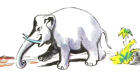 Immer wenn er Pillen nahm