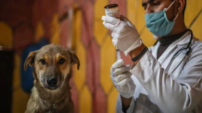 Die flauschige Geldanlage