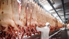 CDU ringt mit neuem Fleisch-Gesetz