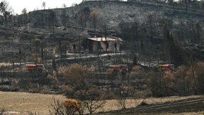 Feuer in Südfrankreich durch Brandstiftung ausgelöst?