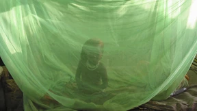 Das Netz wird nicht reichen