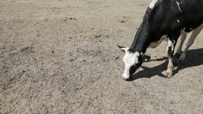 Wetterdienst: Hitze-Sommer zeigt Bedeutung von Klimaanpassung