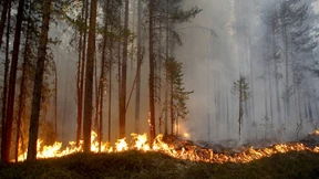 „Wir haben eine Extremsituation“