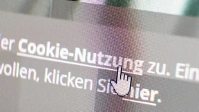 Sammlerwut