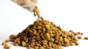 „Es wird häufiger Krisen geben“