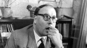 Der Bundeskanzler hatte es satt