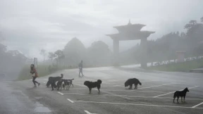 Ein schleierhaftes Land