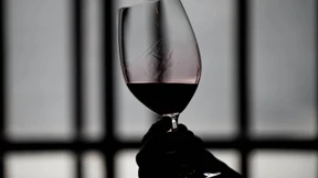 So lässt sich an gutem Wein kräftig verdienen