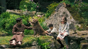 Wie man die Bäume zum Blühen bringt