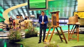 Bienen sind noch viel fleißiger als gedacht