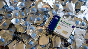 Was dem Zoll alles ins Netz geht