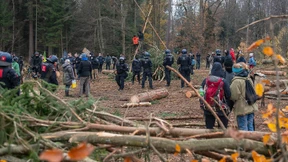 Die Konkurrenz der Grünen