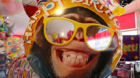 Lug und Trug - Triebfedern der Evolution