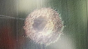 Zum Glück war der Bauer nicht auf dem Feld