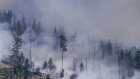 Minister für Naturgesetz